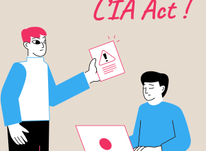 L'ia act